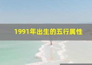 1991年出生的五行属性