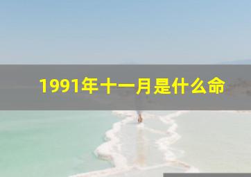 1991年十一月是什么命