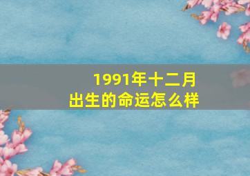 1991年十二月出生的命运怎么样