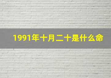 1991年十月二十是什么命