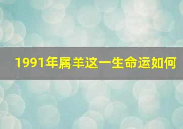 1991年属羊这一生命运如何