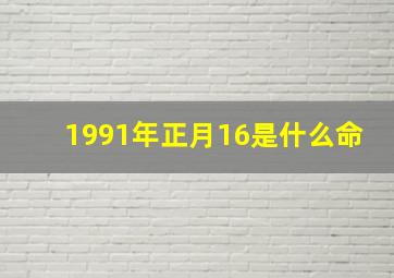 1991年正月16是什么命