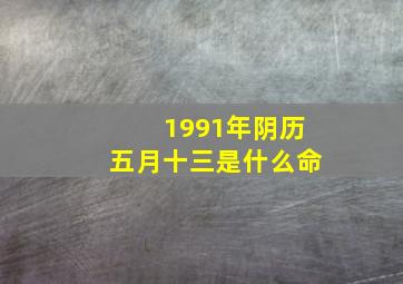 1991年阴历五月十三是什么命