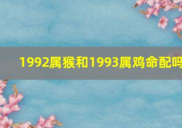 1992属猴和1993属鸡命配吗