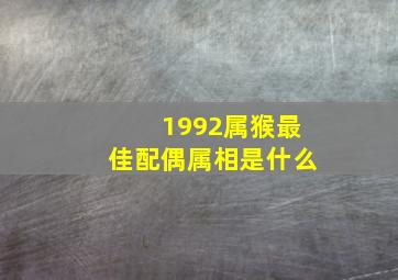 1992属猴最佳配偶属相是什么