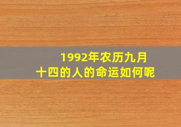 1992年农历九月十四的人的命运如何呢