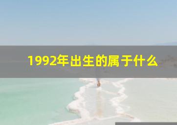 1992年出生的属于什么