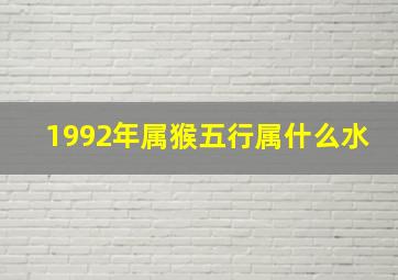 1992年属猴五行属什么水