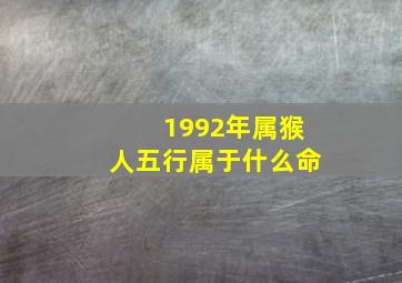 1992年属猴人五行属于什么命