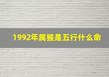 1992年属猴是五行什么命