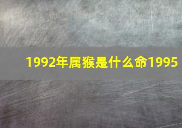 1992年属猴是什么命1995