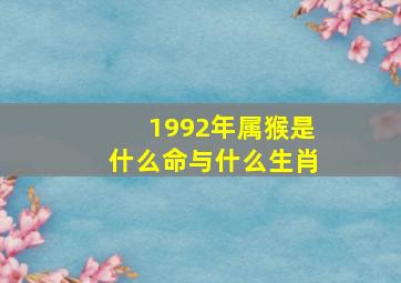 1992年属猴是什么命与什么生肖