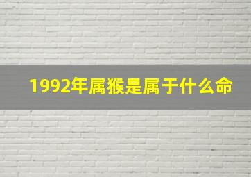 1992年属猴是属于什么命