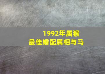 1992年属猴最佳婚配属相与马