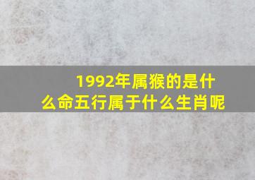 1992年属猴的是什么命五行属于什么生肖呢