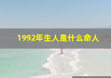 1992年生人是什么命人