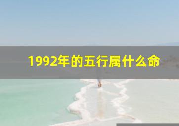 1992年的五行属什么命