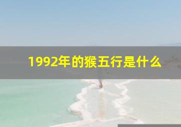 1992年的猴五行是什么