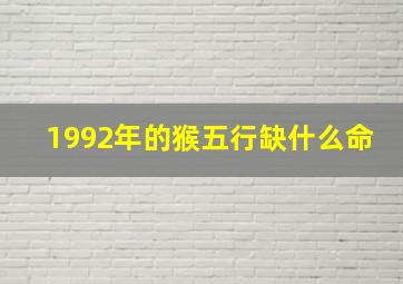 1992年的猴五行缺什么命