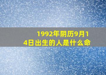 1992年阴历9月14日出生的人是什么命