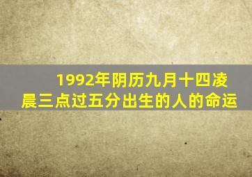 1992年阴历九月十四凌晨三点过五分出生的人的命运