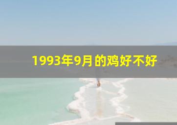 1993年9月的鸡好不好