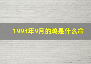 1993年9月的鸡是什么命