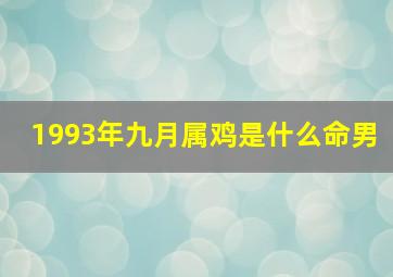 1993年九月属鸡是什么命男