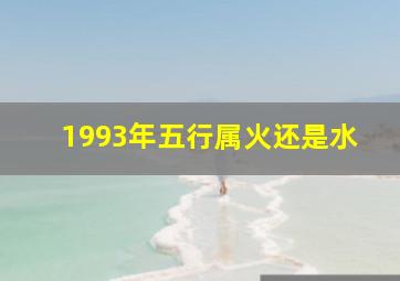 1993年五行属火还是水