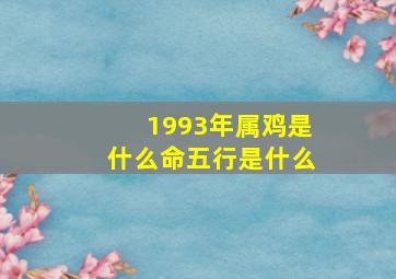 1993年属鸡是什么命五行是什么