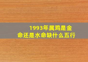 1993年属鸡是金命还是水命缺什么五行