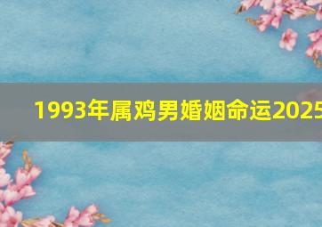 1993年属鸡男婚姻命运2025