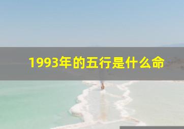 1993年的五行是什么命