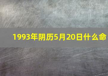 1993年阴历5月20日什么命