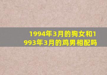 1994年3月的狗女和1993年3月的鸡男相配吗