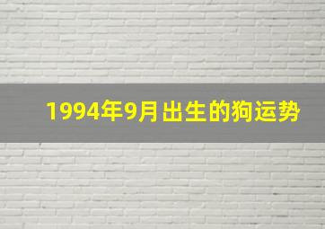 1994年9月出生的狗运势