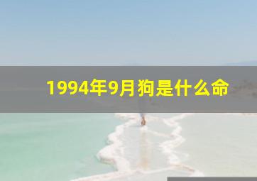 1994年9月狗是什么命