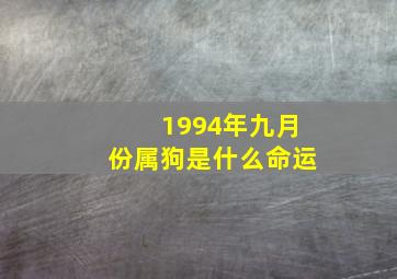 1994年九月份属狗是什么命运