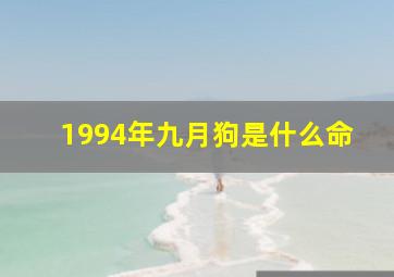 1994年九月狗是什么命