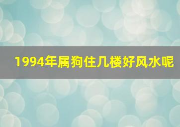 1994年属狗住几楼好风水呢