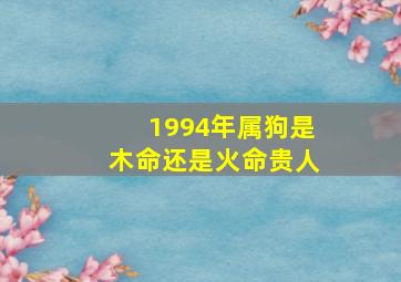 1994年属狗是木命还是火命贵人