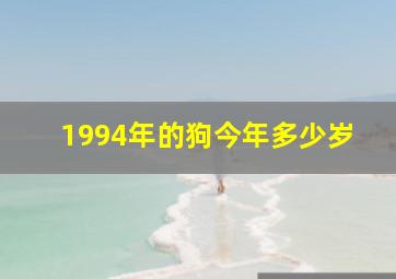 1994年的狗今年多少岁