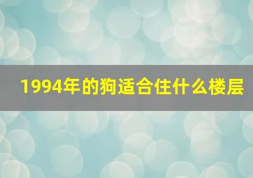 1994年的狗适合住什么楼层