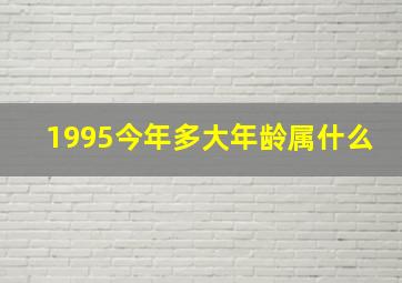 1995今年多大年龄属什么