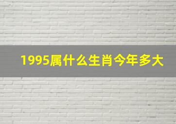 1995属什么生肖今年多大