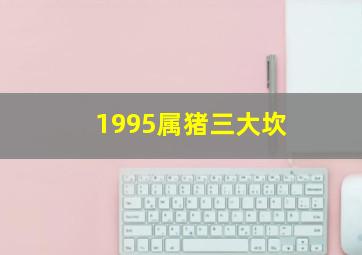 1995属猪三大坎