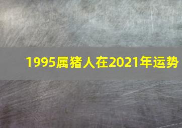 1995属猪人在2021年运势