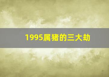 1995属猪的三大劫