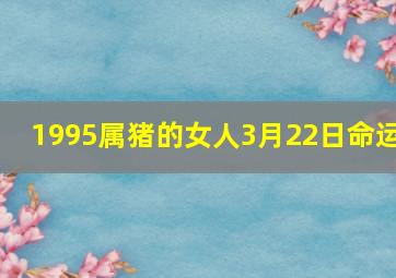 1995属猪的女人3月22日命运