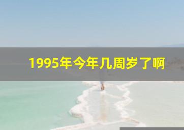 1995年今年几周岁了啊